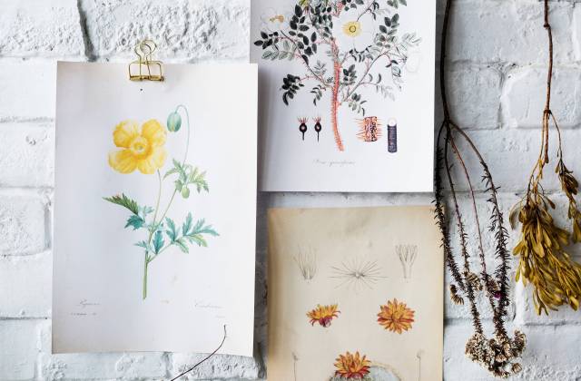 How Regular Sketchbook Practice Can Lead to Artistic Breakthroughs