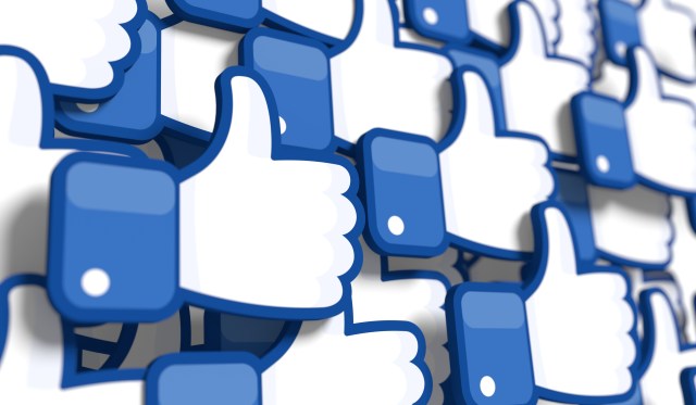 The Role of Privacy in the Increasing Use of Private Social Networks